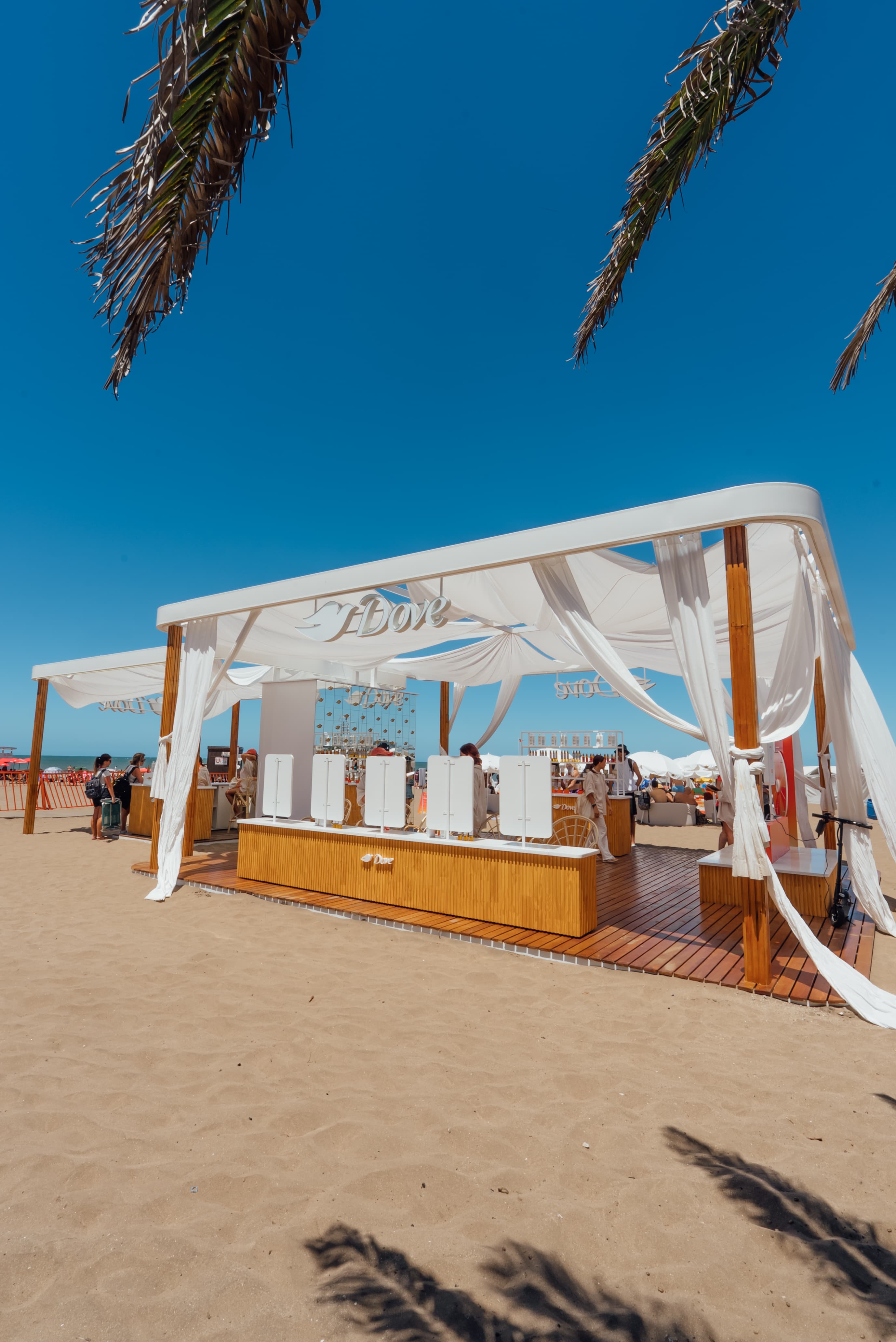 Dove case study header image