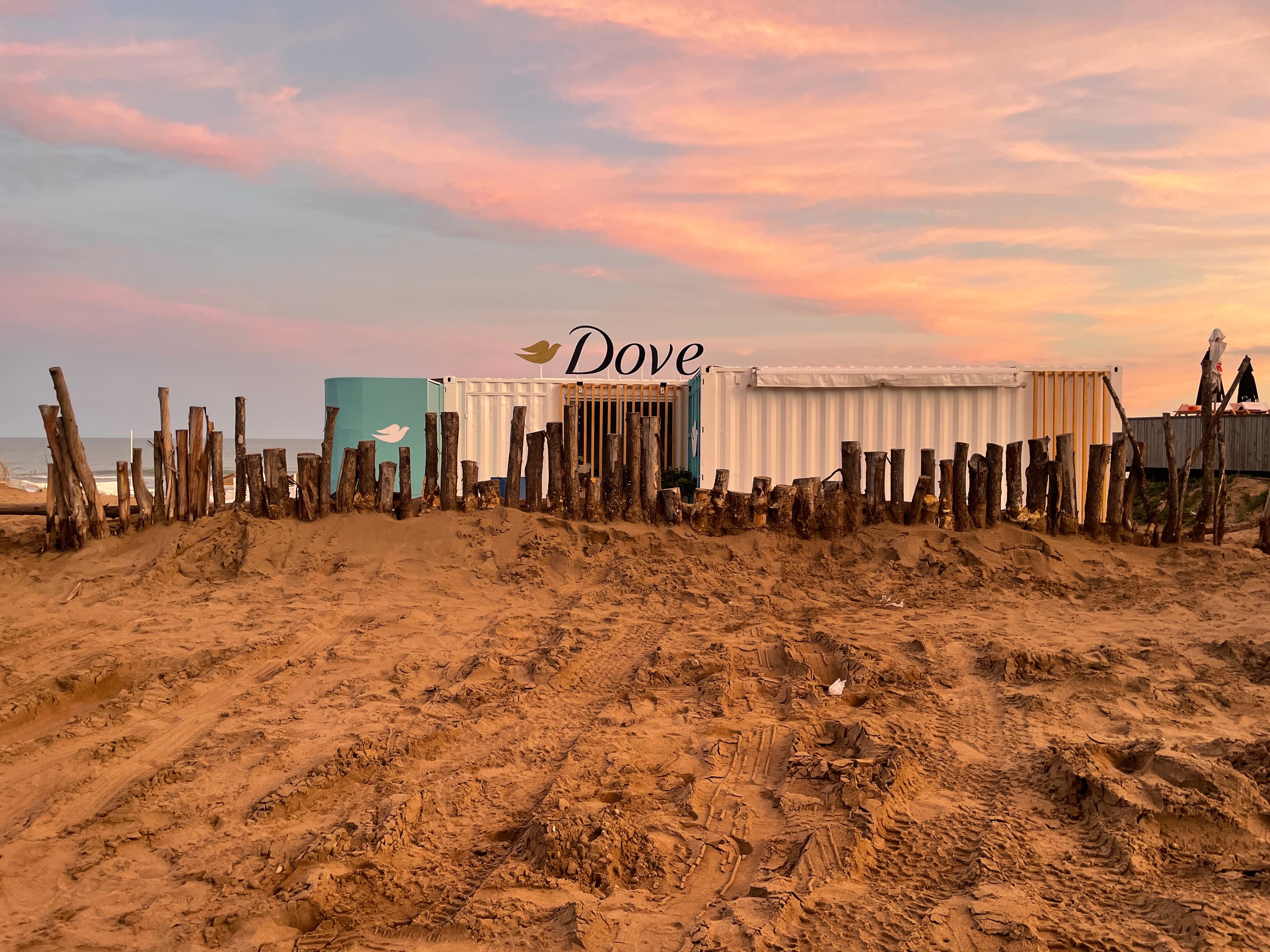 Dove case study header image