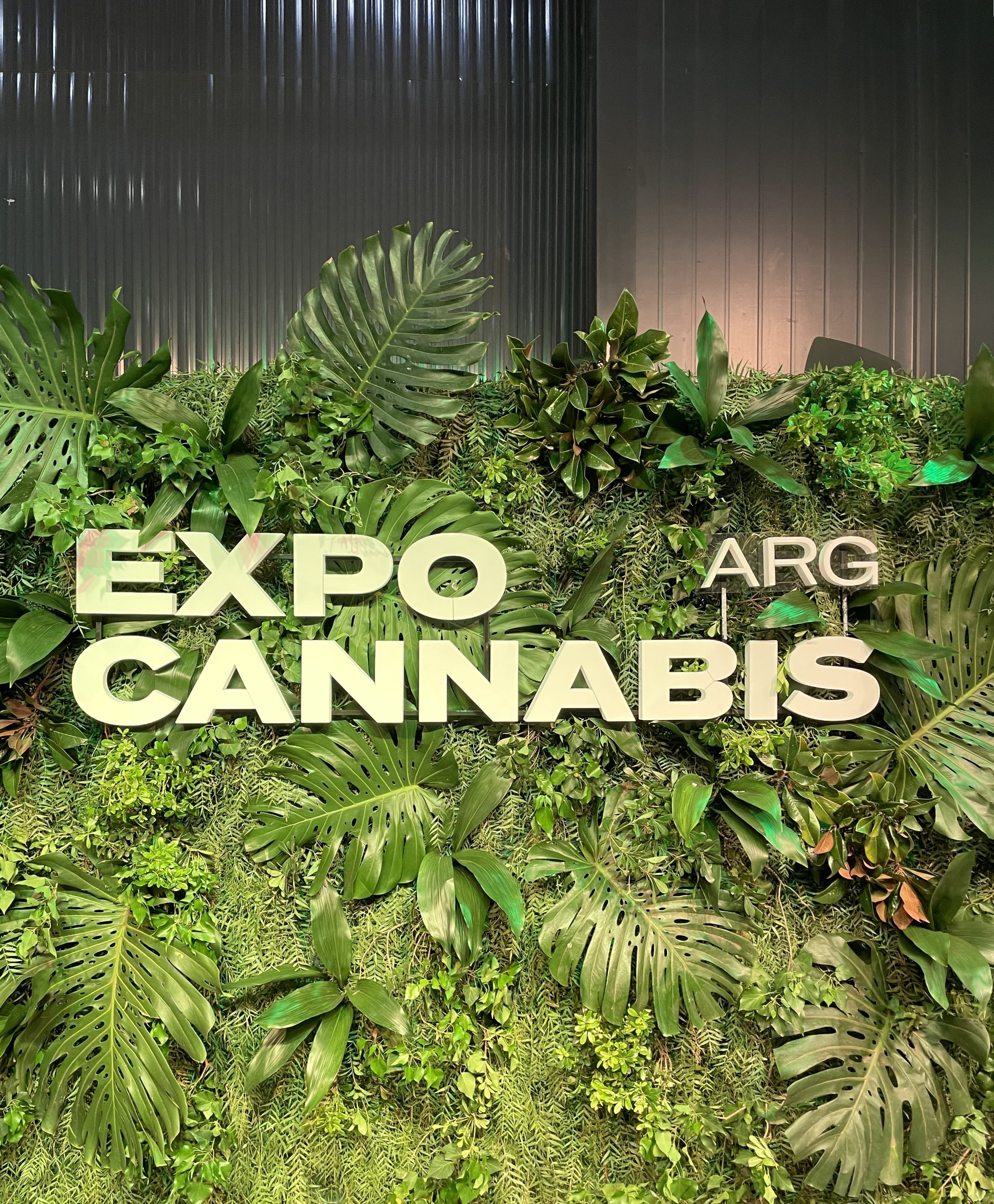 Expo Cannabis 2022 case study header image